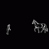 Horse video.gif